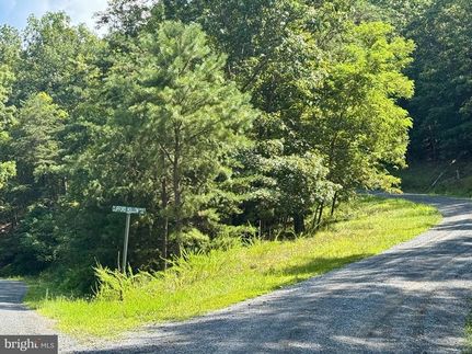 Undeveloped Land for sale in Hardy County, West Virginia