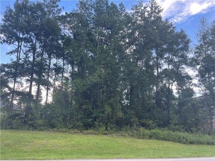 Undeveloped Land for sale in Mobile County, Alabama