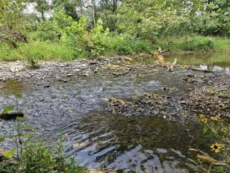 Farm and Ranch for sale in Giles County, Tennessee