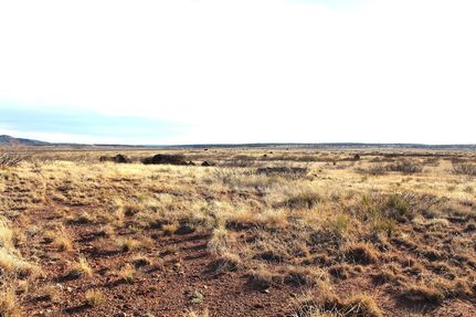 Undeveloped Land for sale in San Miguel County, New Mexico