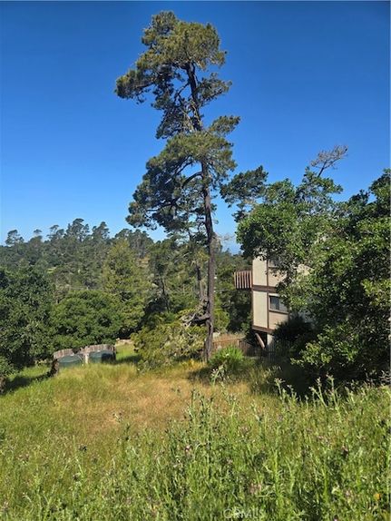 Timberland Property for sale in San Luis Obispo County, California