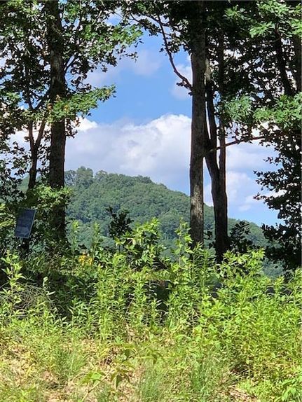 Land for sale in Gilmer County, Georgia