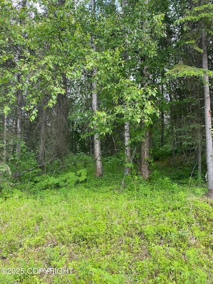 Timberland Property for sale in Matanuska-Susitna Borough, Alaska