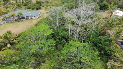 Timberland Property for sale in Hawaii County, Hawaii