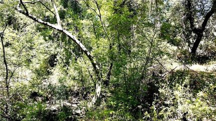 Undeveloped Land for sale in Riverside County, California