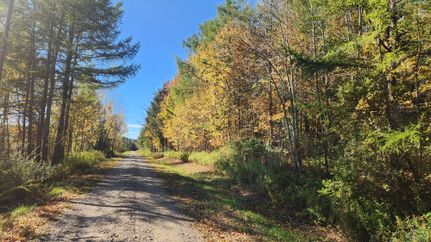 Farm and Ranch for sale in Livingston County, New York