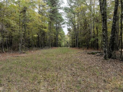 Land for sale in Calhoun County, Arkansas