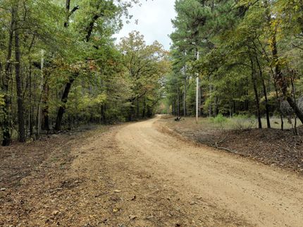 Farm and Ranch for sale in Calhoun County, Arkansas