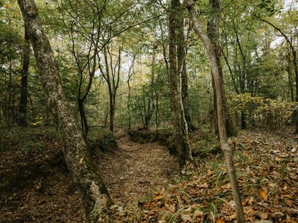 Recreational Property for sale in Calhoun County, Arkansas