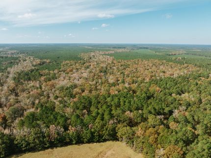 Timberland Property for sale in Calhoun County, Arkansas