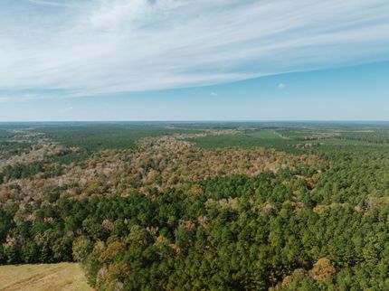 Farm and Ranch for sale in Calhoun County, Arkansas