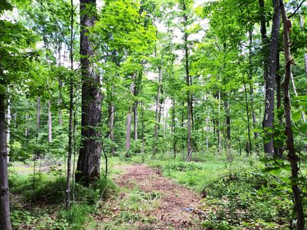 Riverfront Property for sale in Forest County, Wisconsin