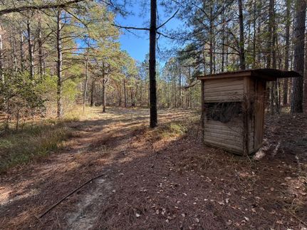 Hunting Property for sale in Blount County, Alabama