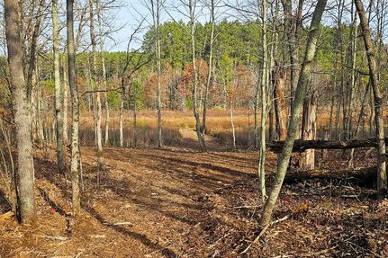 Land for sale in Burnett County, Wisconsin