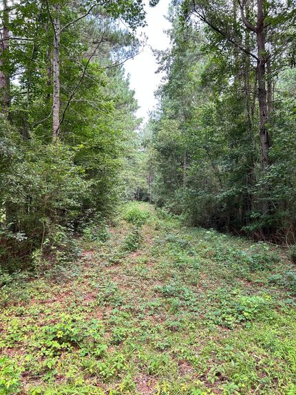 Undeveloped Land for sale in Horry County, South Carolina