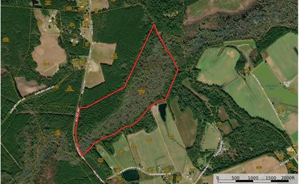 Timberland Property for sale in Horry County, South Carolina