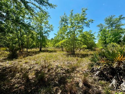 Hunting Property for sale in Jefferson County, Florida
