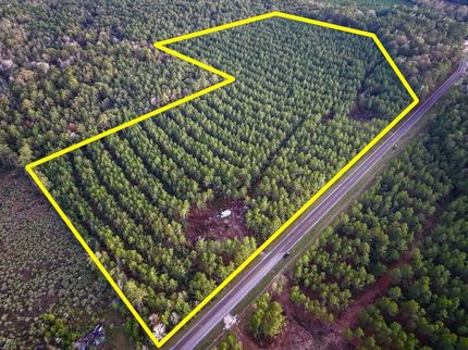 Undeveloped Land for sale in Newton County, Texas