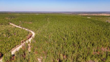 Farm and Ranch for sale in Kershaw County, South Carolina