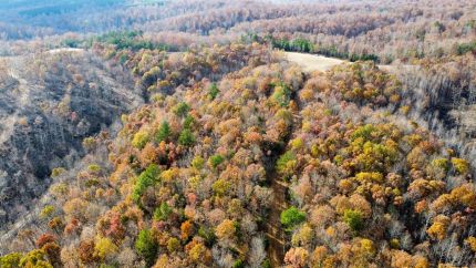 Hunting Property for sale in Hickman County, Tennessee
