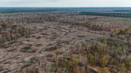 Farm and Ranch for sale in Cleveland County, Arkansas