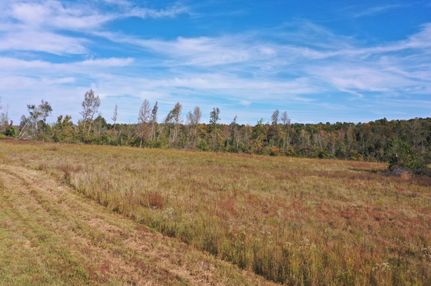 Land for sale in Caldwell County, Kentucky