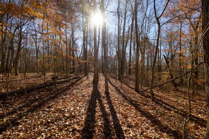 Farm and Ranch for sale in Meigs County, Ohio