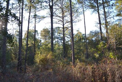 Timberland Property for sale in Emanuel County, Georgia
