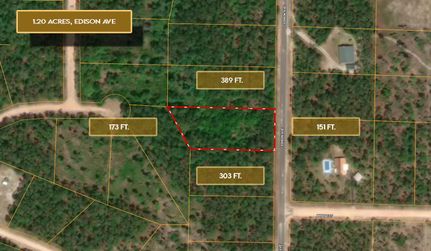 Undeveloped Land for sale in Jackson County, Florida
