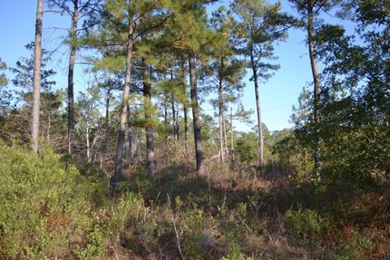 Land for sale in Emanuel County, Georgia