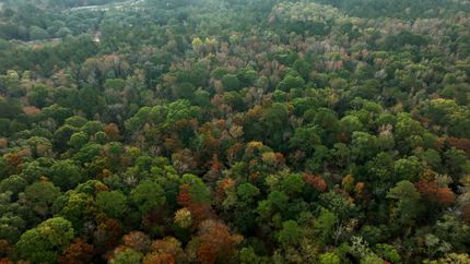 Farm and Ranch for sale in Bulloch County, Georgia