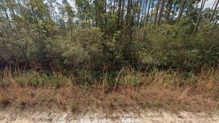 Undeveloped Land for sale in Putnam County, Florida
