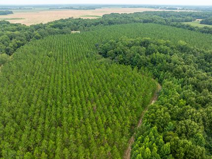 Recreational Property for sale in Lee County, Georgia