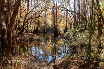 Land for sale in Bulloch County, Georgia