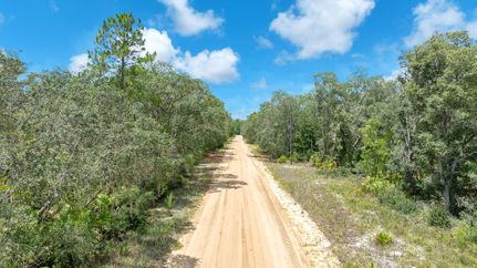 Farm and Ranch for sale in Putnam County, Florida
