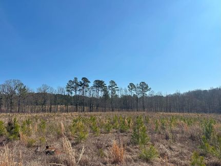 Land for sale in Taliaferro County, Georgia