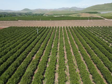 Farm and Ranch for sale in Fresno County, California