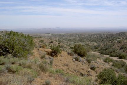 Undeveloped Land for sale in Los Angeles County, California