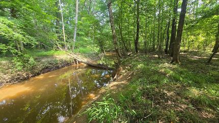 Hunting Property for sale in Montgomery County, Mississippi