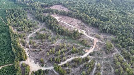 Farm and Ranch in Kemper County, Mississippi