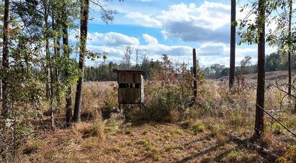 Hunting Property for sale in Smith County, Mississippi