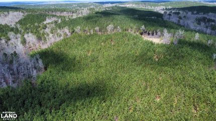 Hunting Property in Tuscaloosa County, Alabama