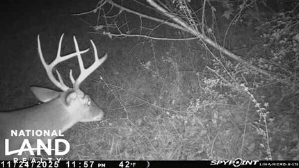 Undeveloped Land for sale in Dallas County, Alabama