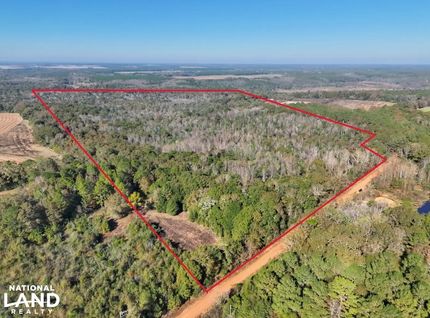 Hunting Property for sale in Geneva County, Alabama