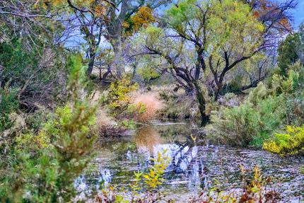 Recreational Property for sale in Tom Green County, Texas