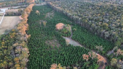 Land for sale in Russell County, Alabama