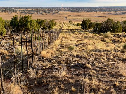 Undeveloped Land for sale in Apache County, Arizona