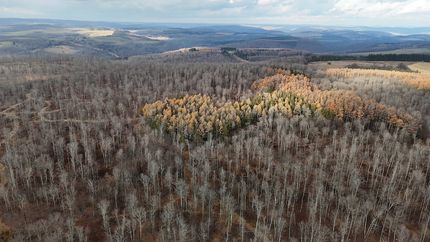 Recreational Property for sale in Tioga County, Pennsylvania