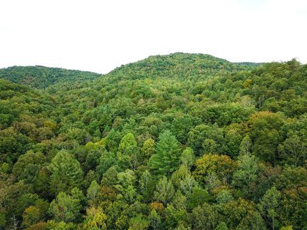 Undeveloped Land for sale in Scott County, Tennessee