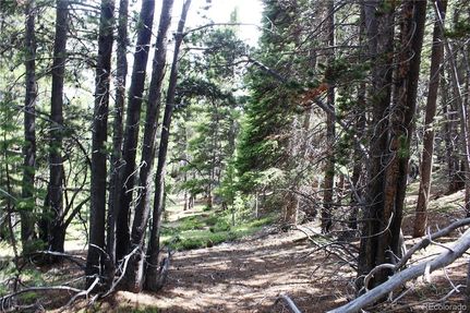 Land for sale in Clear Creek County, Colorado
